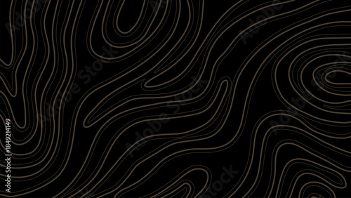 Luxury Gold Abstract Line Art on Black Background Organic Contour Map Pattern.Vector Design