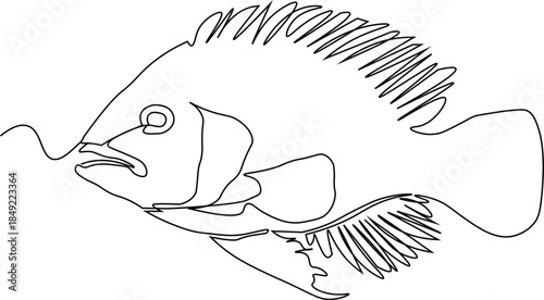 Minimal fish line illustration. Underwater animal illustration. Fish one line marine life concept. Continous single line fish. Easily editable stroke.