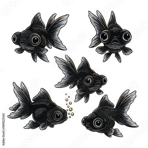 Collection of Five Black Goldfish with Big Eyes.