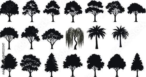 Tree silhouettes collection, diverse foliage shapes, black vector trees, weeping willow highlight, nature elements, forest icons, botanical design, isolated trees