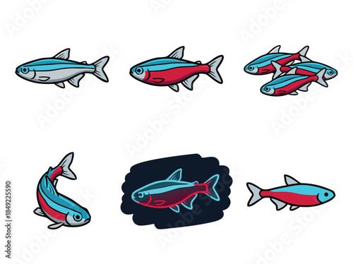 Collection of Neon Tetra Fish Illustrations.
