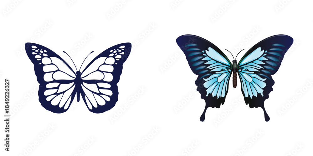 Obraz premium A colorful butterfly isolated on a white background with beautiful wings