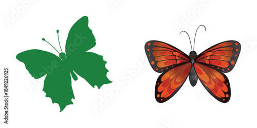 A colorful butterfly with open wings isolated on a clean white background