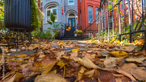 Φωτογραφία Cozy and inviting residential street scene in the U