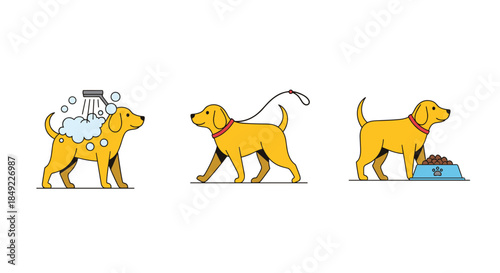 Three stage guide for dog care showing a puppy having a bath, going for a walk, and eating healthy food for pet owners.