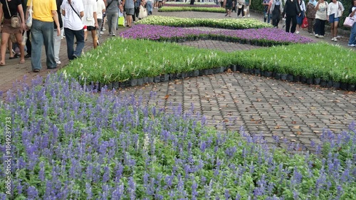 Floral festival and people 