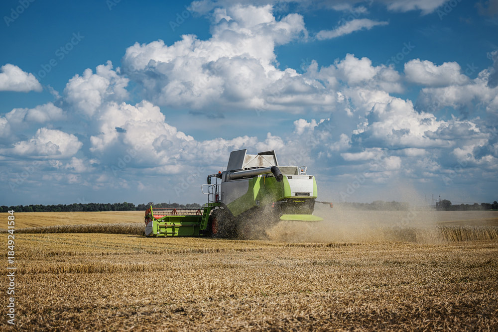 Obraz premium Combine harvesting wheat in a golden field under blue sky with fluffy clouds.