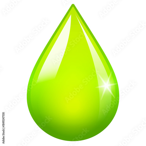 Extra virgin organic olive oil vector illustration