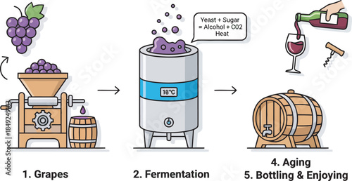 Wine Making Process Stages Illustration.