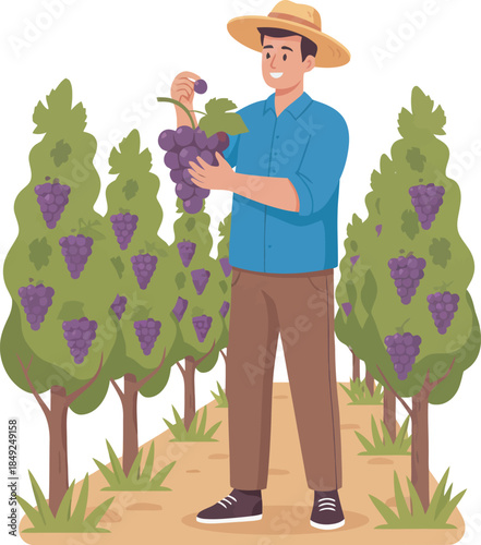Farmer Holding Grapes in Vineyard.
