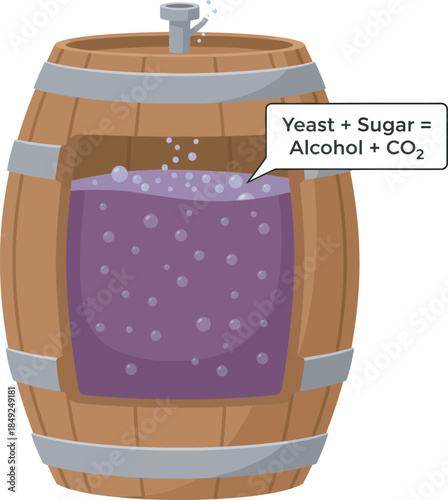Alcohol fermentation process in a cutaway wooden barrel with yeast and sugar formula.