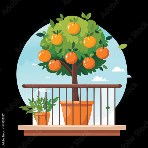 Miniature orange tree growing in a terracotta pot on a balcony for urban nature gardening and decoration