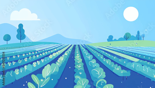 Field of lettuce in rows under a pale blue sky with a cloud and the sun, and trees in the background