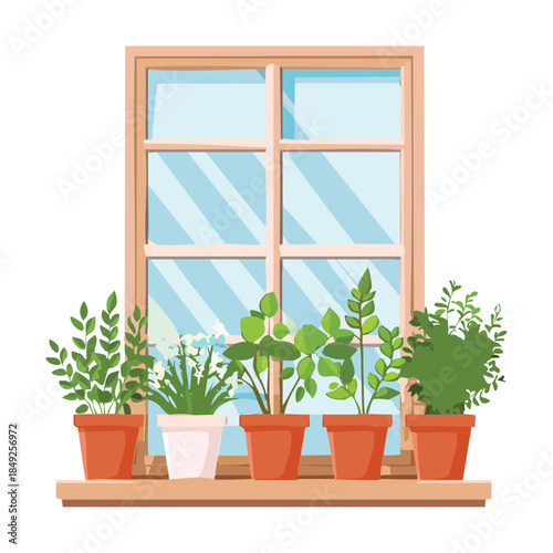 Potted green herbs and plants growing in terracotta pots on a window sill with nature view