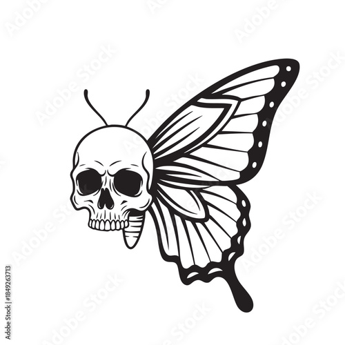 Skull Butterfly Graphic Design