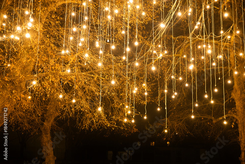 Illuminated trees in a gloomy evening with mist and fog. 