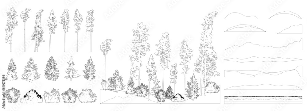 Obraz premium Contours elements of forest trees. Beautiful spruce trees, pine, bush, grass, hill. Vector illustration