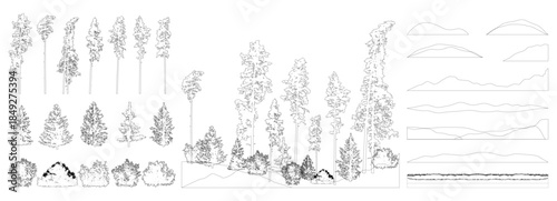 Contours elements of forest trees. Beautiful spruce trees, pine, bush, grass, hill. Vector illustration