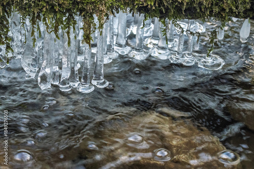 Wallpaper Mural Icicles hanging from a mossy overhang, gently melting into the flowing water. The water is clear, with bubbles rising to the surface reflecting sunlight.A stunning winter scene. Torontodigital.ca