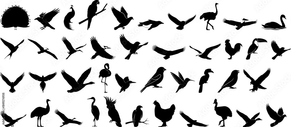 Obraz premium Minimalist Silhouette Assorted Flying and Standing Bird Species Animal Illustration