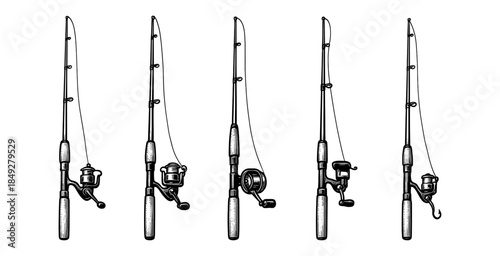 Fishing Rods and Reels Set Illustration