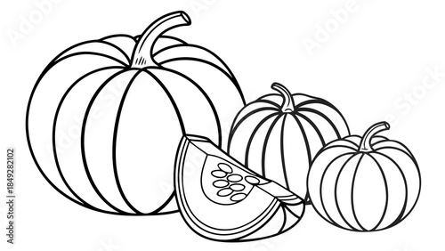 Simple Pumpkin Outline Drawing for Fall Harvest and Halloween
