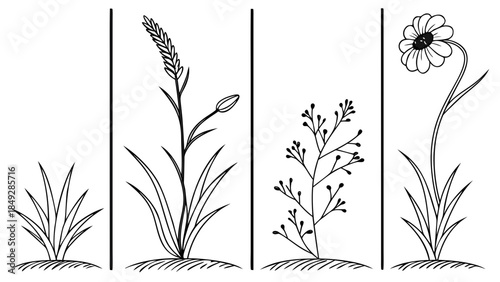 Diverse Botanical Line Art Set: Grass, Cereal, Branching Plant, and Flower Illustrations
