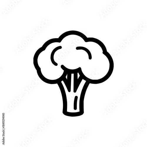 Broccoli icon vector illustration, fresh green broccoli vegetable, healthy food ingredient, outline style