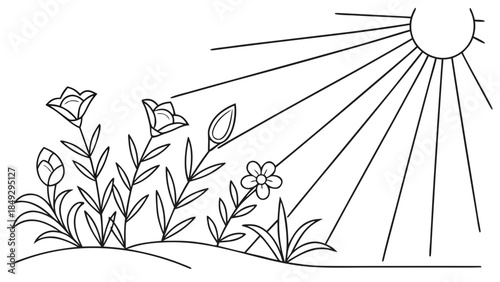 Blooming flowers and plants under sun rays line art. Growth and nature illustration.