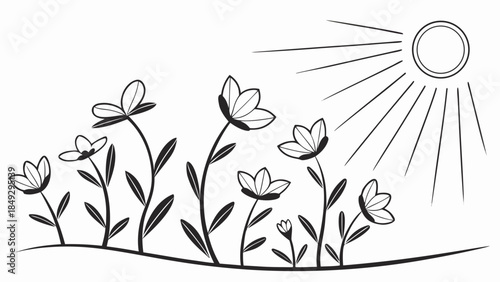 Minimalist Black and White Line Art: Blooming Flowers Under Shining Sun, Simple Floral Growth Illustration
