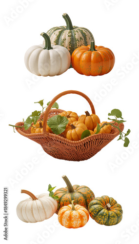 Fresh raw pumpkins isolated on a transparent background