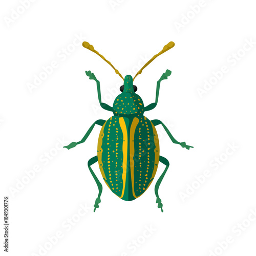 Simple_flat_2D_icon_of_a_weevil_isolated_on_a_white_Vector, eps, flat design, animation design, simple flat 2D icon, minimalist design, clipart, illustration.