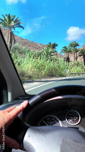 Point of view shot from a car driving along a scenic road through the volcanic canyons of Gran Canaria, with palm trees and a bright blue sky, showing the driver's hand on the steering wheel