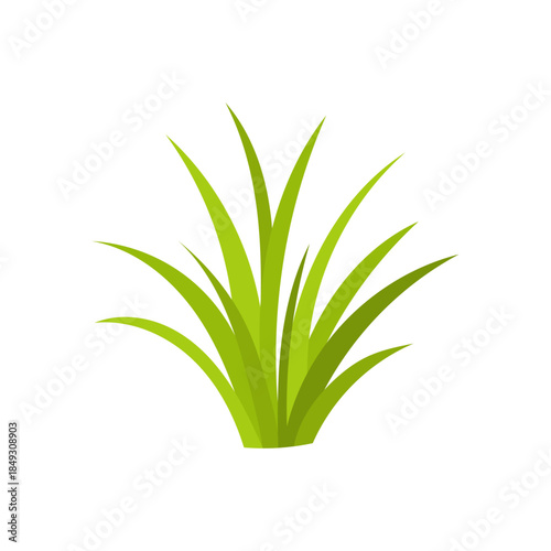 Green grass illustration in flat vector style showing fresh nature growth, grass element for ecology concepts, gardening design, lawn decoration, grass isolated on white