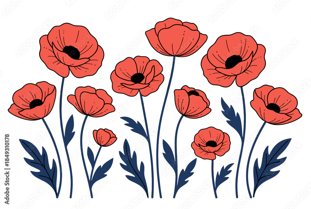 Obraz premium Red Poppies Flowers with Blue Leaves Drawing Style On White Background