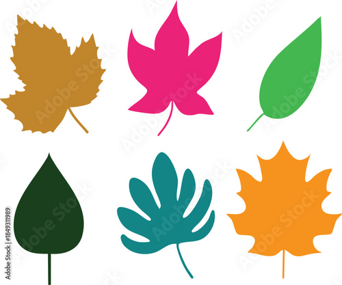 Collection of colorful autumn leaf silhouettes simple flat vector illustrations for seasonal design isolated on white background
