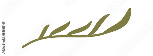 Flat green mistletoe branch ornament with kraft style creates a fresh holiday and christmas plant accent. Unique winter gift and box decor reflects seasonal festive element.