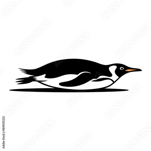 Penguin Sliding on Belly