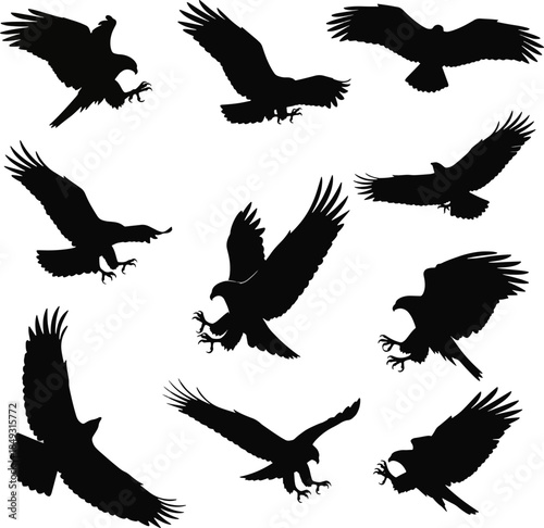 Eagle Silhouette Vector Set Flying Birds of Prey Collection
