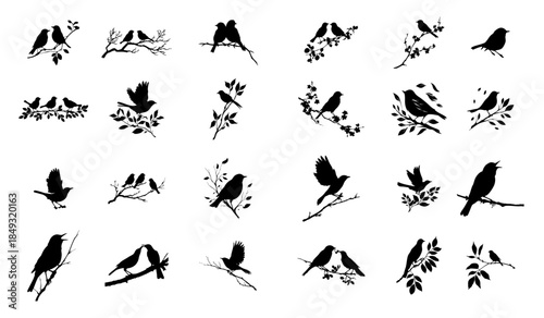 Collection of black and white birds on branches silhouettes perched on branches perfect for nature inspired design projects