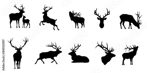 Collection of ten black silhouette vector graphics depicting various poses of majestic male and female elk and deer