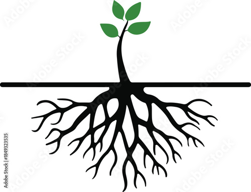 A stylized tree with green leaves and black branches and roots on a white background with the word rooted
