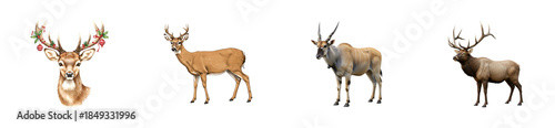Collection of four antlered and horned animals including a Christmas deer, white-tailed deer, eland antelope, and an elk, showcasing both illustration and photographic styles