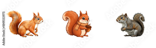 Collection of three squirrel illustrations in different artistic styles, featuring a realistic grey squirrel, a watercolor red squirrel, and a cute cartoon character with a scarf