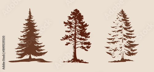 Pine Trees Forest Silhouette Vector Illustration