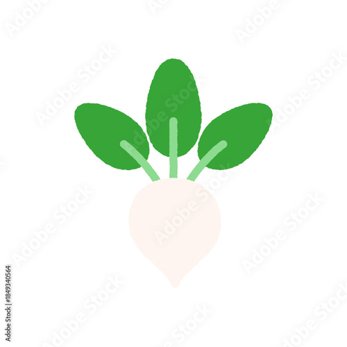 手書き風の単品アイコンイラスト　野菜　カブ