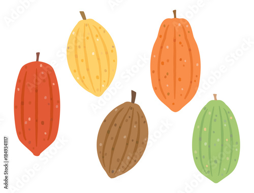 カラフルなカカオの実のイラストのセット