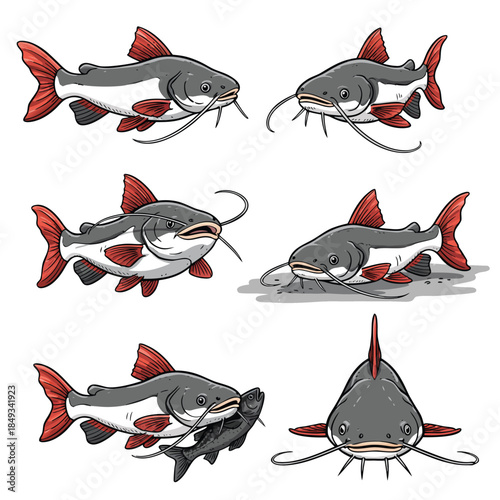 Collection of Six Catfish Illustrations in Various Poses.
