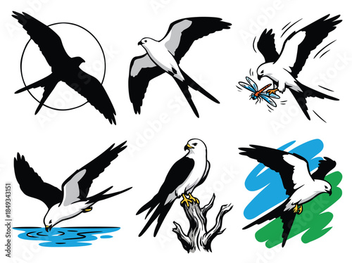 Collection of Six Illustrations of a White Kite Bird in Various Poses.