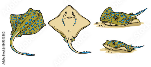 Collection of Stingrays in Different Poses and Angles.